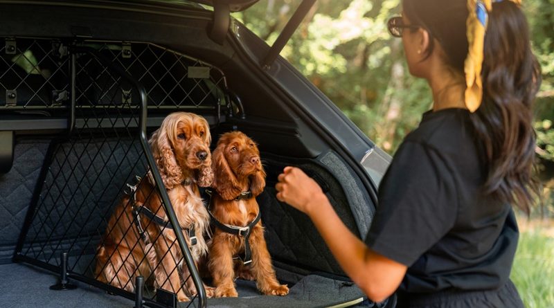 เบนท์ลีย์ มอเตอร์ส เปิดตัวชุดอุปกรณ์เสริมสำหรับสัตว์เลี้ยงคอลเลกชันใหม่