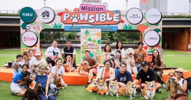 “วาระแห่งเมือง”! ‘พันธุ์ไทย’ ผนึก ‘กทม.’ และ ‘เพจหมาจ๋า’ ผุดแคมเปญ “Punthai Mission PAWSIBLE”